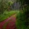 Old Kent Estates & Spa, Coorg