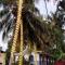 Baga Beach Palms