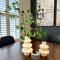 Newly Renovated Cottage including Driveway in Downtown Murfreesboro - Murfreesboro
