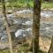 Rippling Waters #278