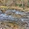 Rippling Waters #278