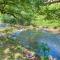 River Dream #466