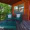 Sun-Sational View #245 - Sevierville