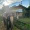 Chilax House and Retreat Center - Sauraha