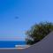 Santorini C Villa - Fira