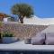 Santorini C Villa - Fira