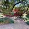 Sequoian Sanctuary - Panorama Heights