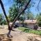Sequoian Sanctuary - Panorama Heights