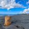 The Yellow Buoy