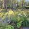 Apartamenty Jezioro i Las Mazury
