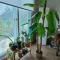 New stay dear - Cheongju