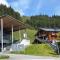 Fantastic apartment in the Kitzbühel Alps - 米特西尔