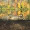 Hidden Lakefront Retreat - Sherburne