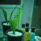 New Blue Home