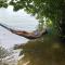 Tranquility Holiday Home