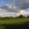 Oak Tree Farm