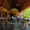 Rainforest Resort - Athirappilly