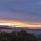 Calafates y lavandas