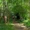 Ecolodges De Dreef