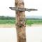 Wild Adventure Resort - Sunset Point - Sauraha