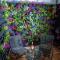 My Secret Garden rooms - Apartment with 2 private rooms, separate baths and balcony garden - Atene