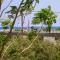 Piale Palms Makenzie Beach Front Apartment, Larnaca