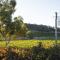 Sun & Surf Aldinga Beach Apartment