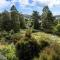 Fantail Haven - Kinloch