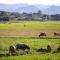 Phong Nha Farmstay