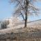 Ferienhaus Familie Lebbing