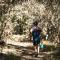Moonshine on Whiskey Creek - The Crags