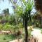 Albany Home Stay - Kuta Lombok
