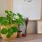 Lovely Home in Trendy Bo-Kaap! - 开普敦