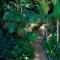 Avocado Sunset Bed & Breakfast
