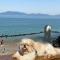 Apto Areia azul-PÉ NA AREIA- PETFRIENDLY PREMIUM na prainha - 卡拉瓜塔图巴