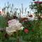 Guesthouse Paradies Samerberg