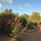 Sunset Haven Self-Contained Apartment - 14 mins to city