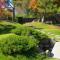 Beautiful Apartment At The Botanical Gardens #1 - 圣安东尼奥