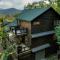 Chalet Blue Ridge