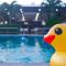 Billabong Golf Club & Resort