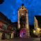 Le Parc du Séquoia & SPA proche Colmar et Riquewihr - 奥斯泰姆