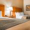 Comfort Inn Metro Airport Comfort Inn Metro Airport