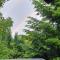 WOLF'S PLANE Luxury Isolated Mountain House for Digital Nomads - 福伊尼察