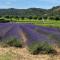 Mont-Ventoux, Provence, Appartement avec vue panoramique et piscine - 乌韦兹河畔莫朗
