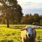 The Old Dairy - Yarpole