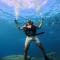 Diver's Den