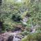 Munsong Norling Homestay - A unit of Dhitang- Offbeat Kalimpong