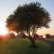 Islandcorr Farm Luxury Glamping Lodges and Self Catering Cottage, Giants Causeway