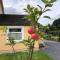 Mon Petit Cottage - B&B and House in Bunclody - Bunclody