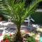 Apartments Rale